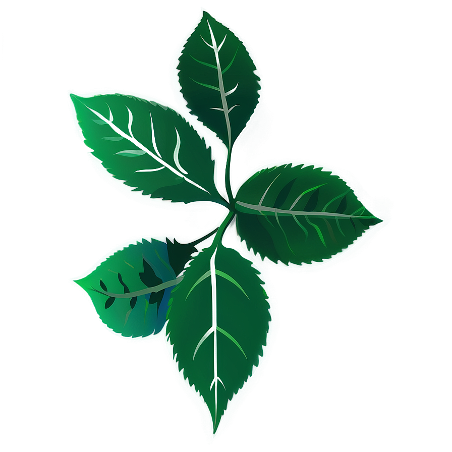 Leaf Design Png Jlw27