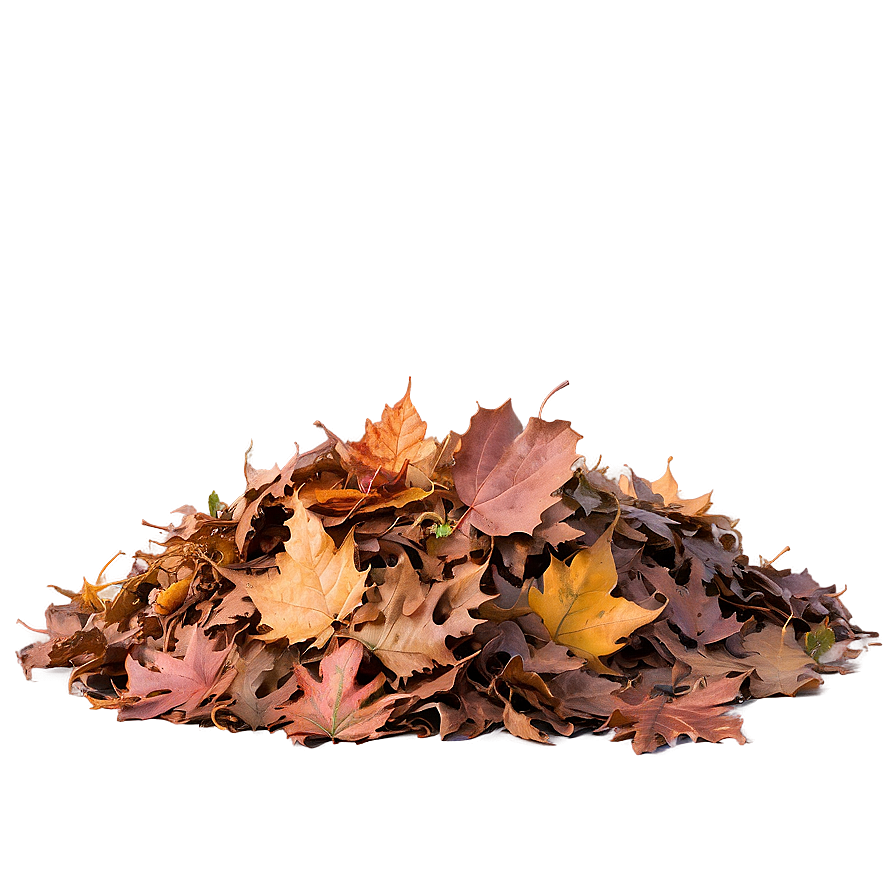 Leaf Pile In Park Png Jda