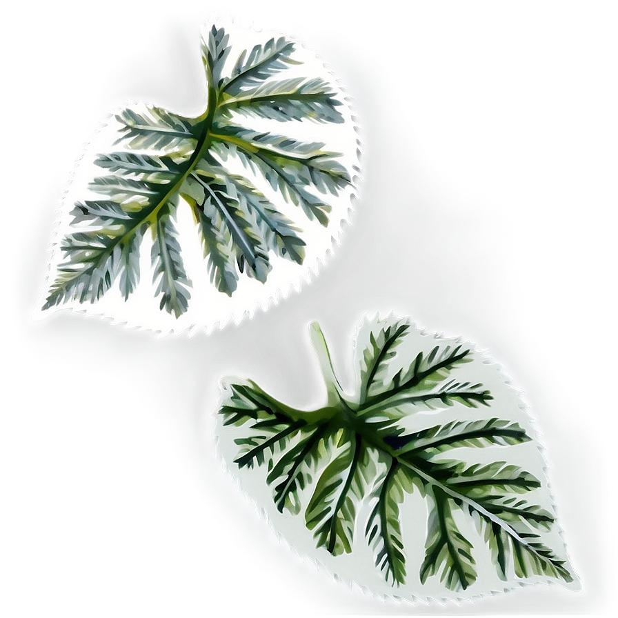 Leaf Shape Png Nfc