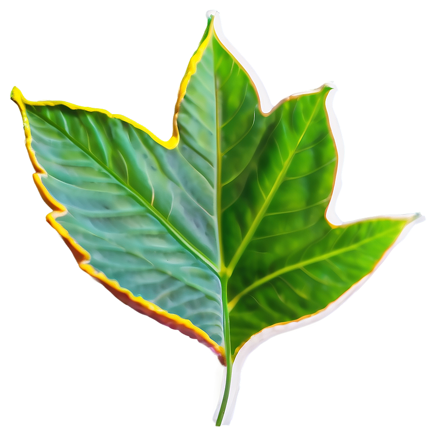 Leaf Shape Png Ruj44