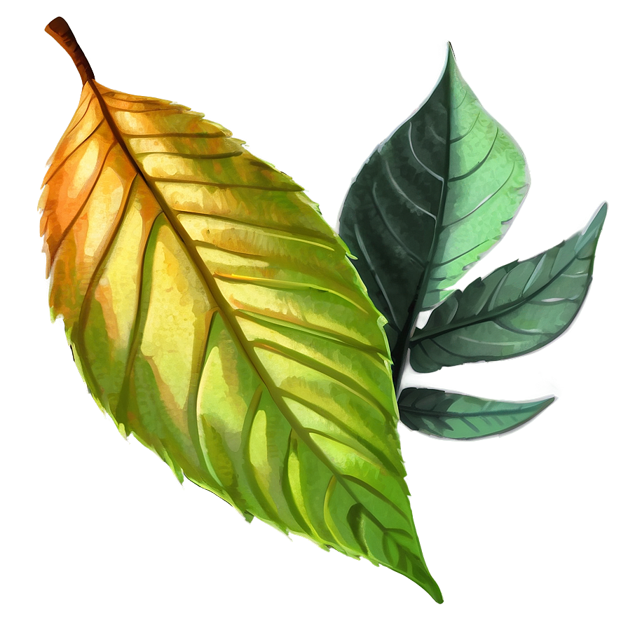 Leaf Sketch Png Xeo63