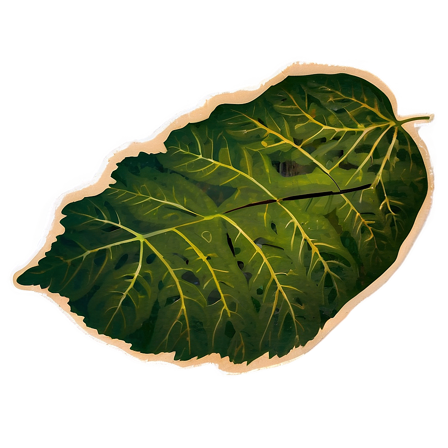 Leaf Stamp Png 05032024