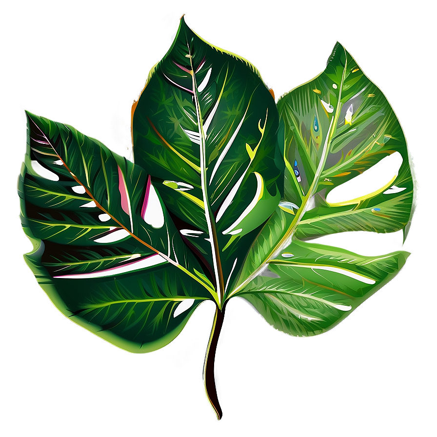 Leaf Vector Png 05032024