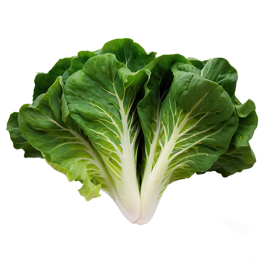 Leafy Green Lettuce Png Sgm