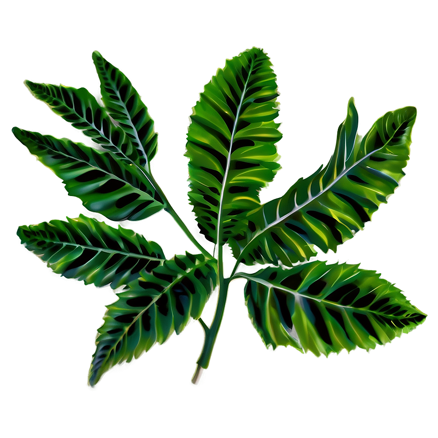 Leafy Plant Png Wtl8