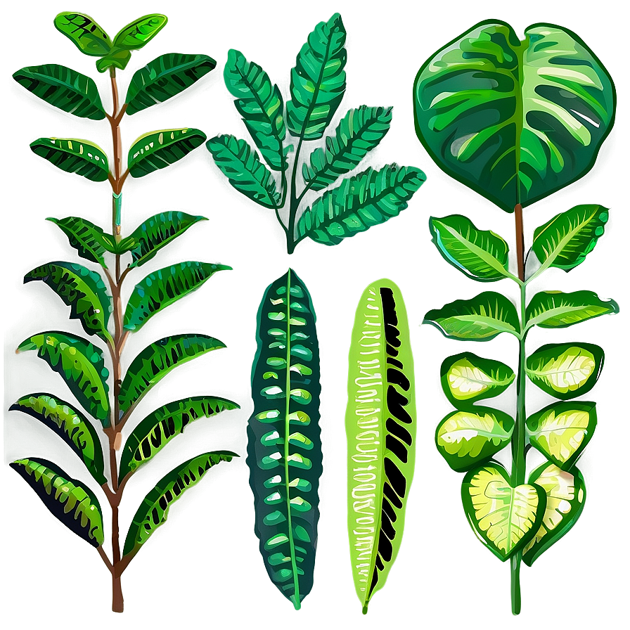 Leafy Plants Png 05042024