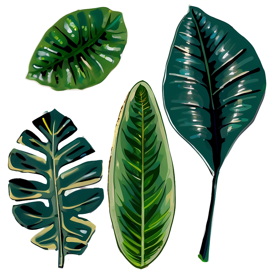 Leafy Plants Png 61