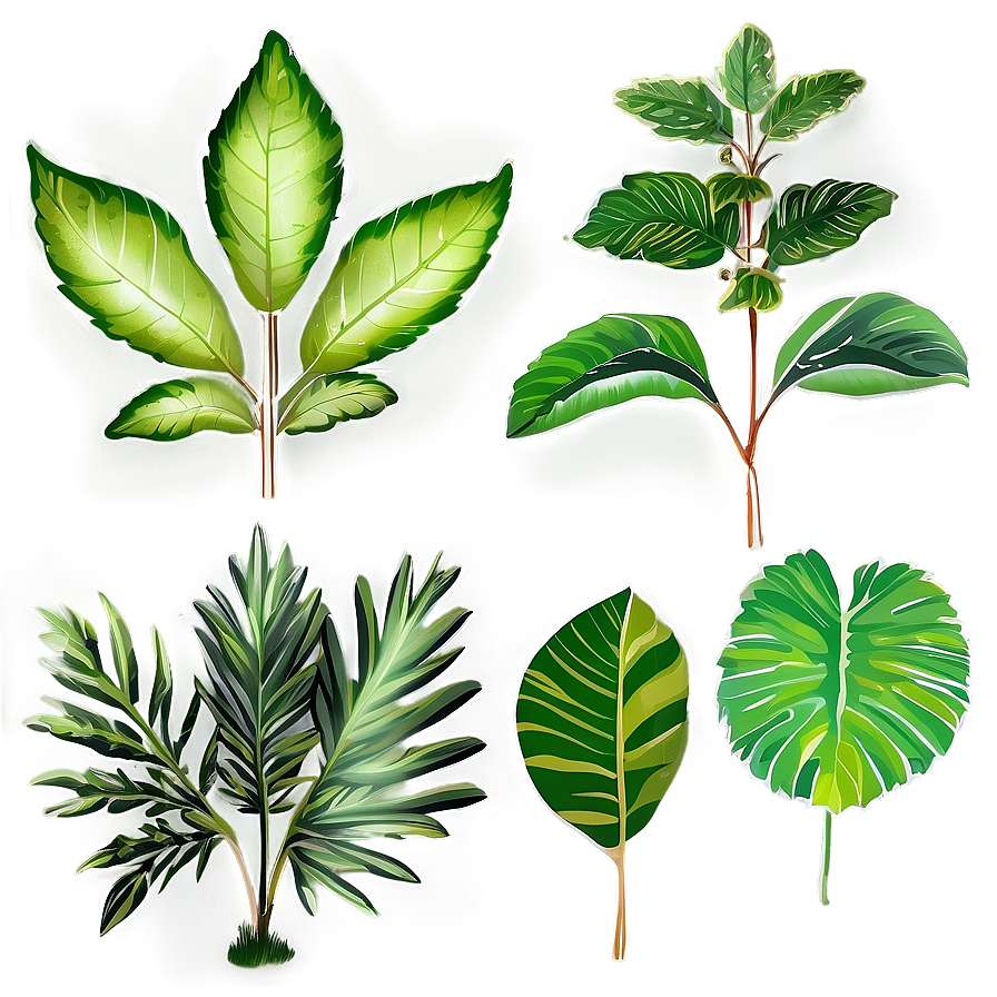 Leafy Plants Png Vnw