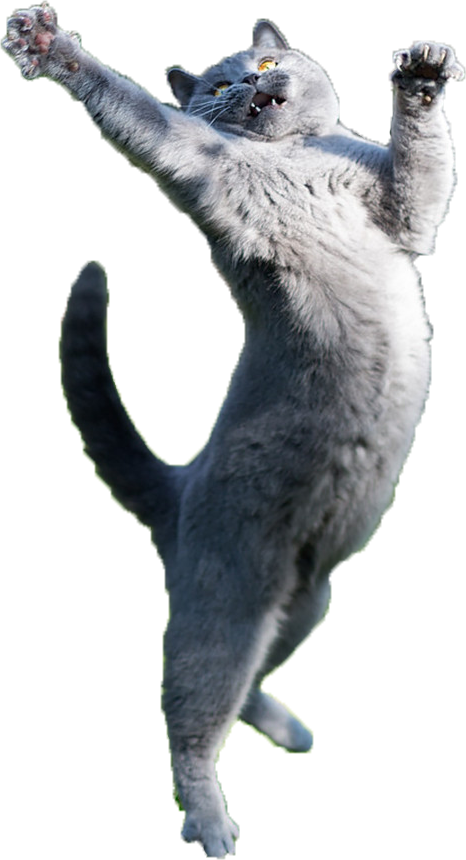 Leaping Grey Cat.png