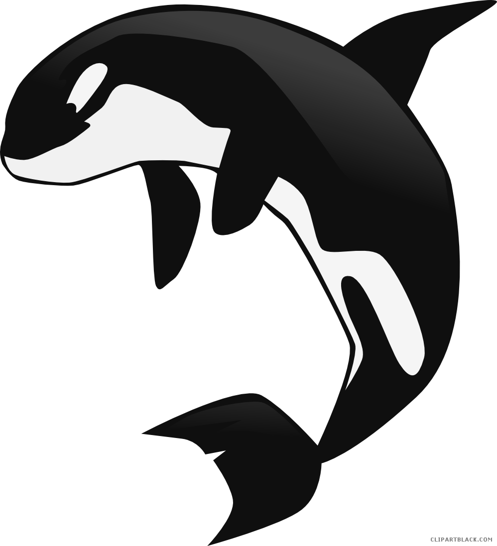 Leaping_ Orca_ Clipart