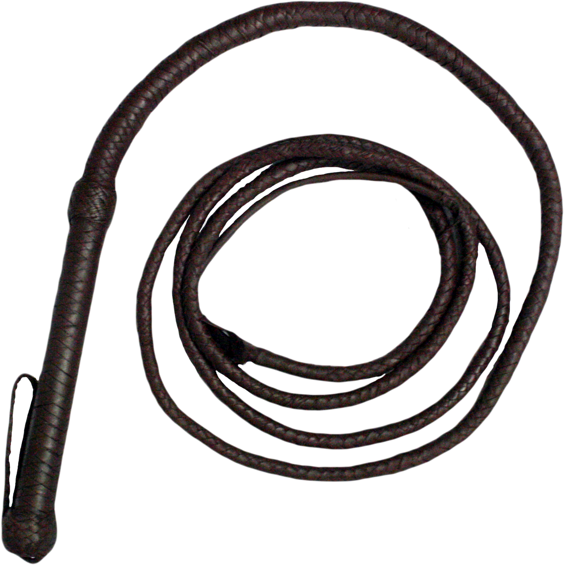 Leather Whip Coiled Isolated