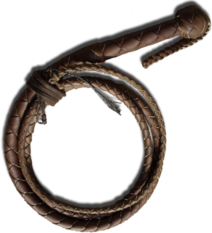 Leather Whip Curled Design