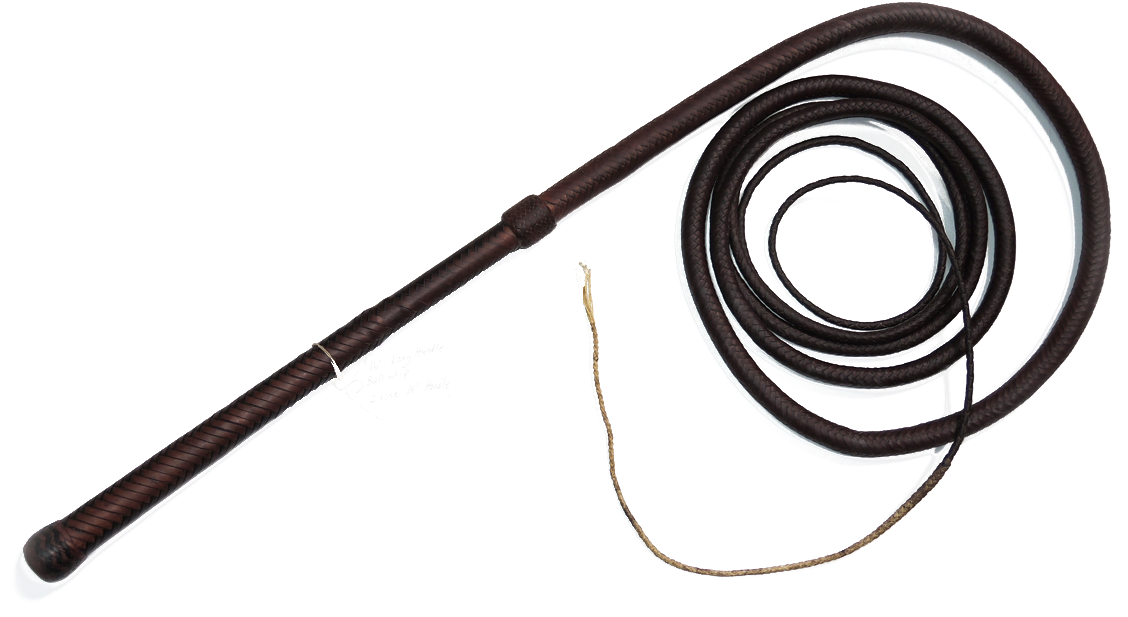Leather Whip Isolated