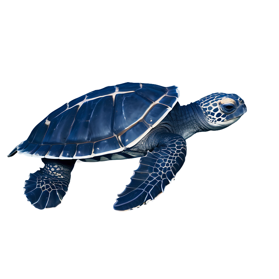 Leatherback Turtle Endangered Species Png Iny56