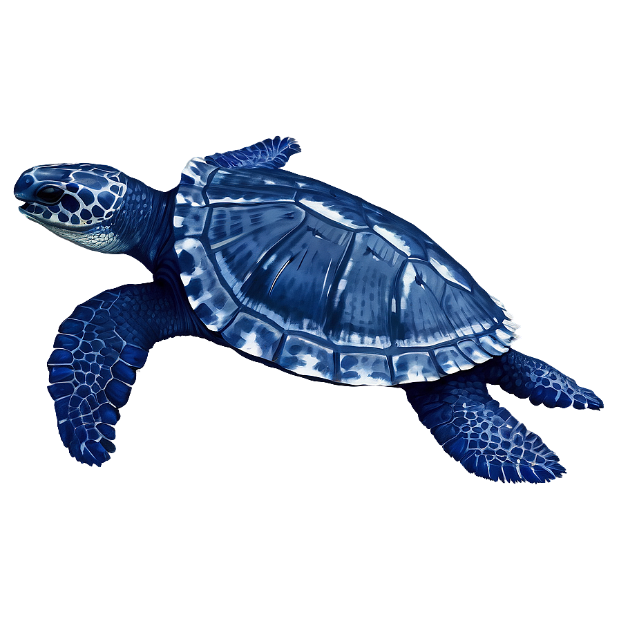 Leatherback Turtle In Deep Blue Png 16