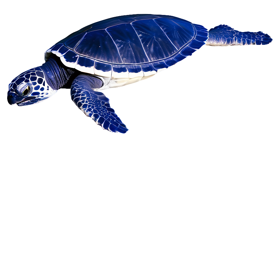 Leatherback Turtle In Deep Blue Png Oga