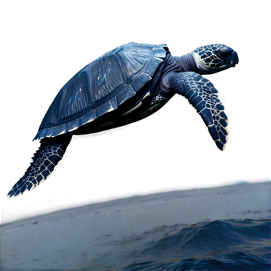 Leatherback Turtle Journey Across Oceans Png 06292024