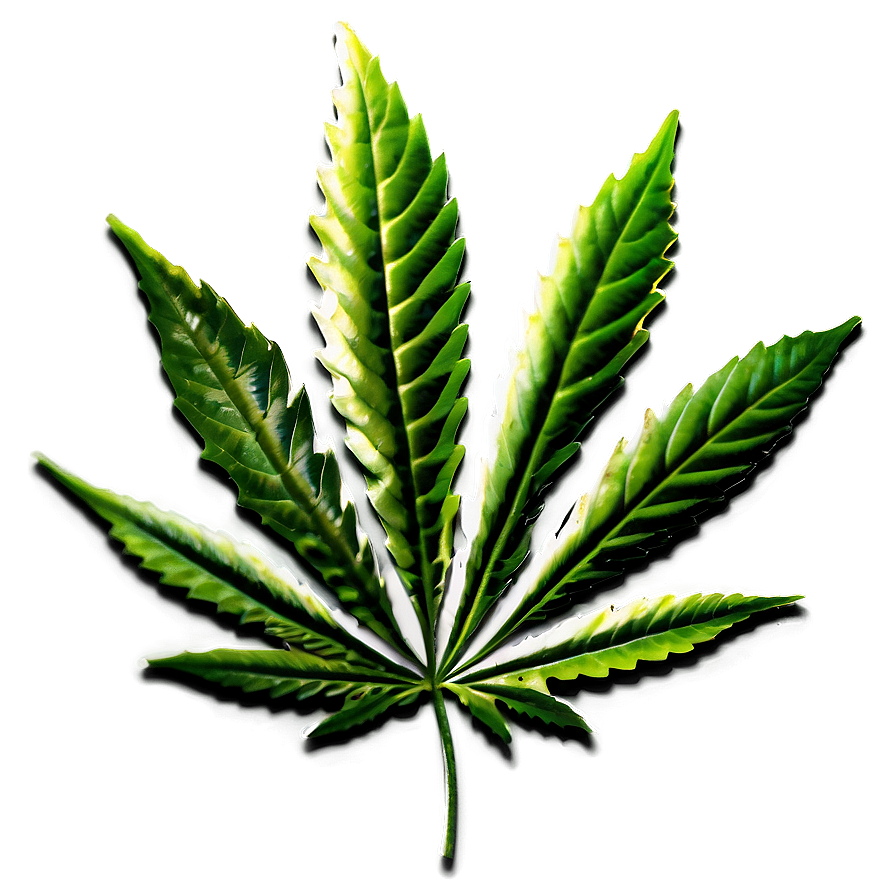 Legalize Cannabis Leaf Png Huq
