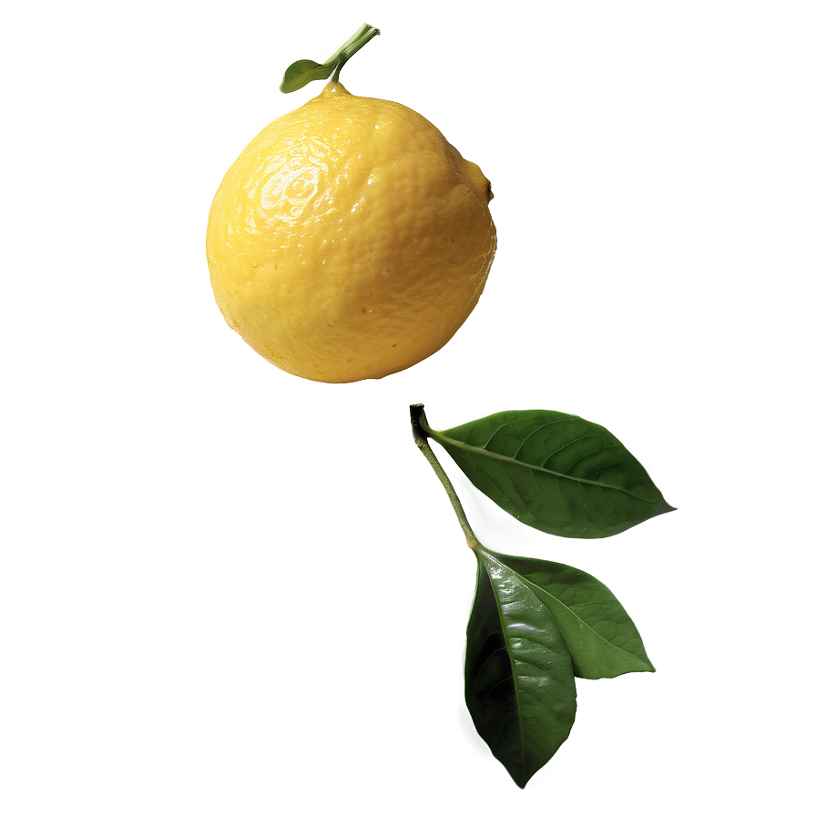 Lemon Essential Oil Png 05042024