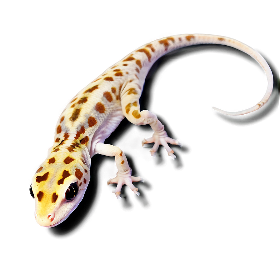 Leopard Gecko Climbing Png 06202024