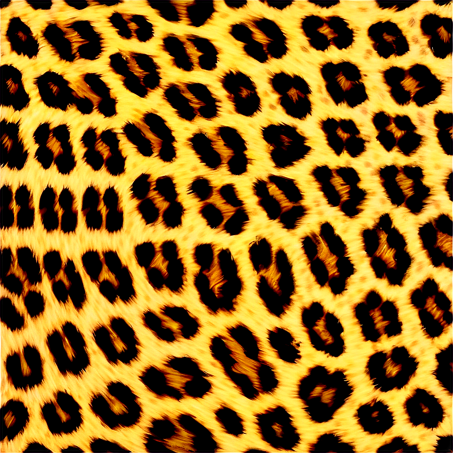 Leopard Print Border Png 64