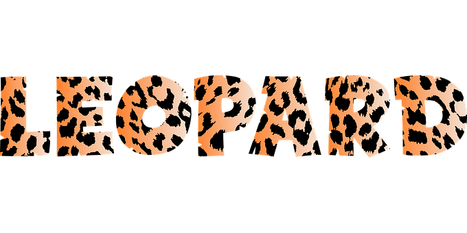 Leopard Print Text Design