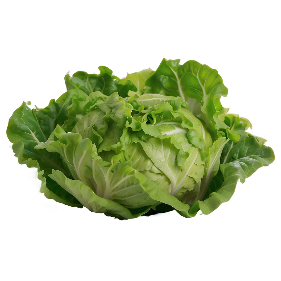 Lettuce Salad Ingredient Png 05242024