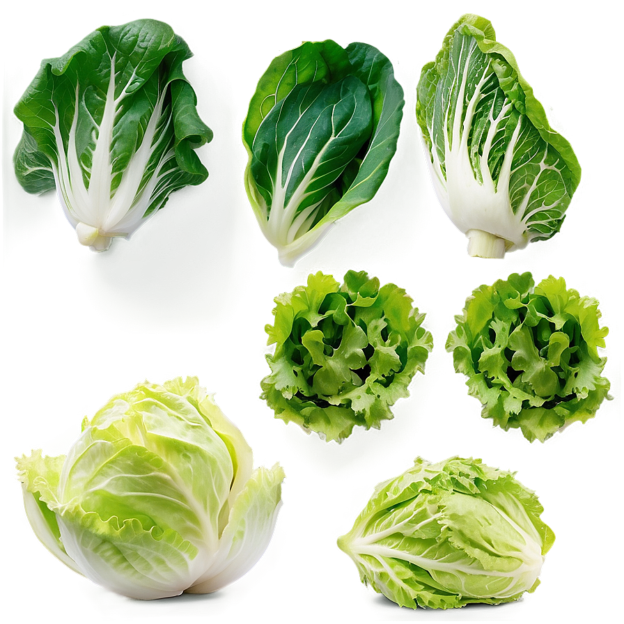 Lettuce Salad Ingredient Png 42