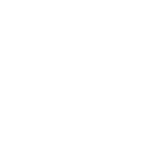 Levis Commuter Logo