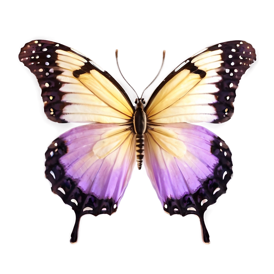 Light Purple Butterfly Png 37