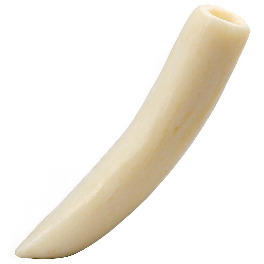 Light String Cheese Png 8