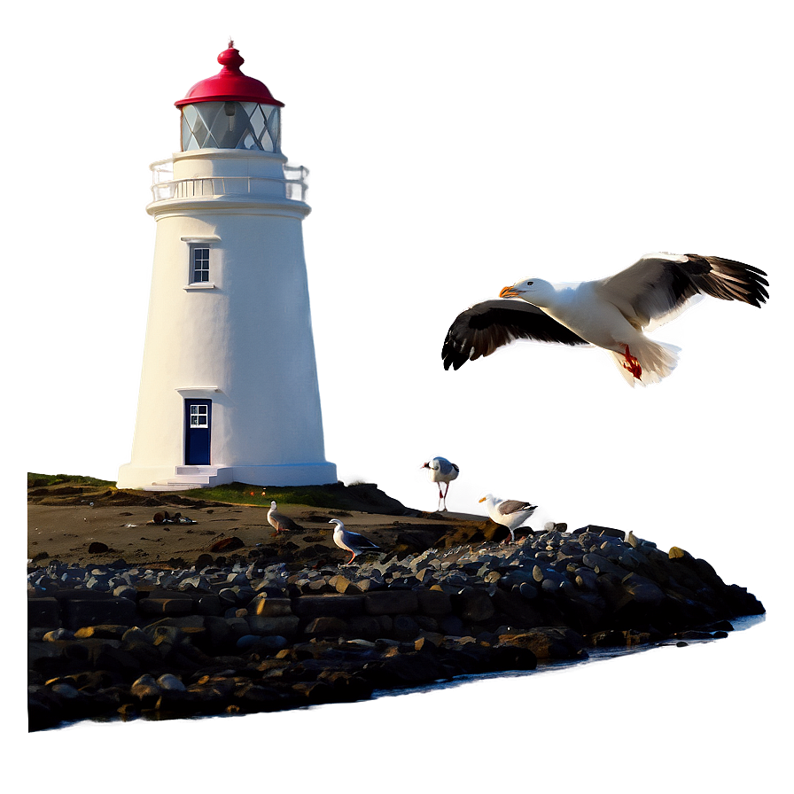 Lighthouse With Seagulls Png 05242024