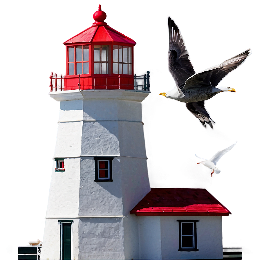 Lighthouse With Seagulls Png 05242024