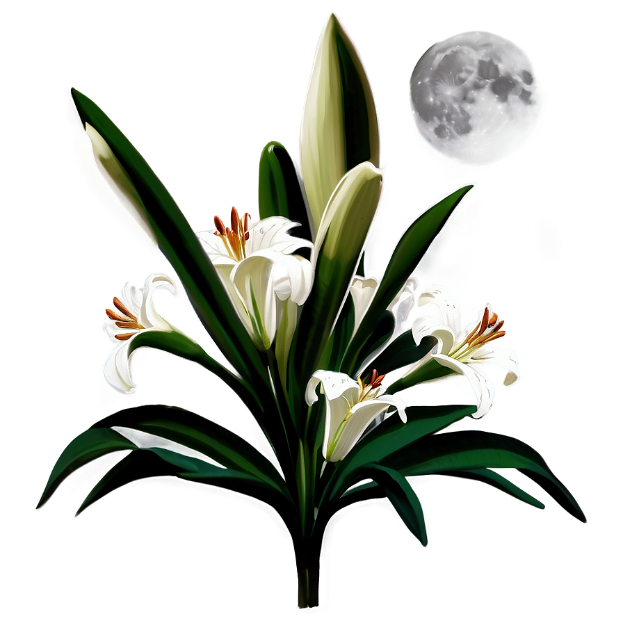 Lilies In Moonlight Png Ynq47