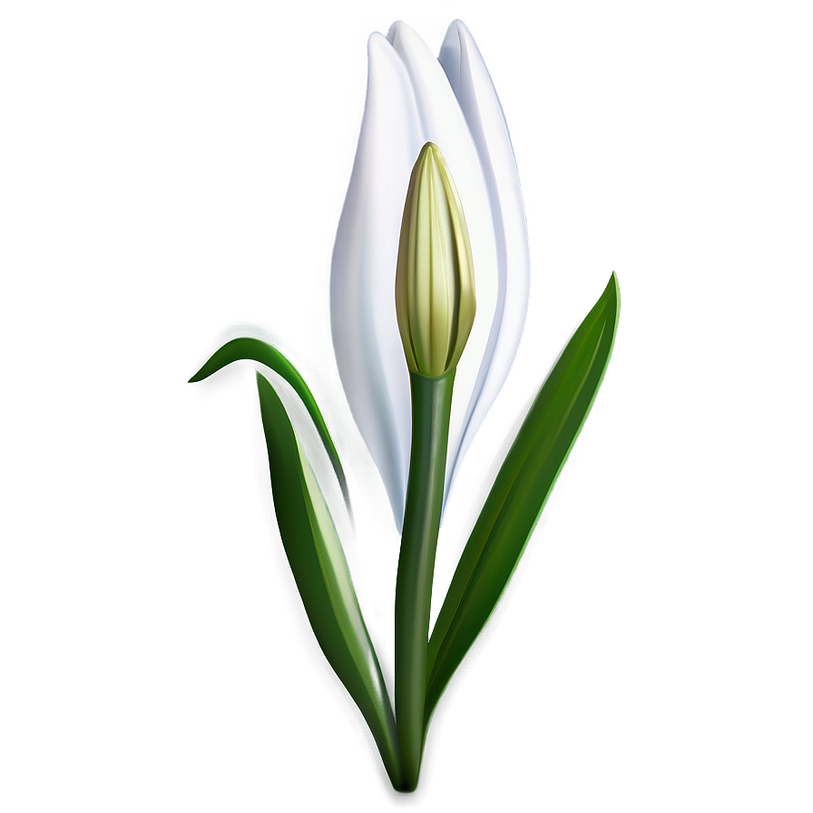 Lily Flower Bud Png Jiy4