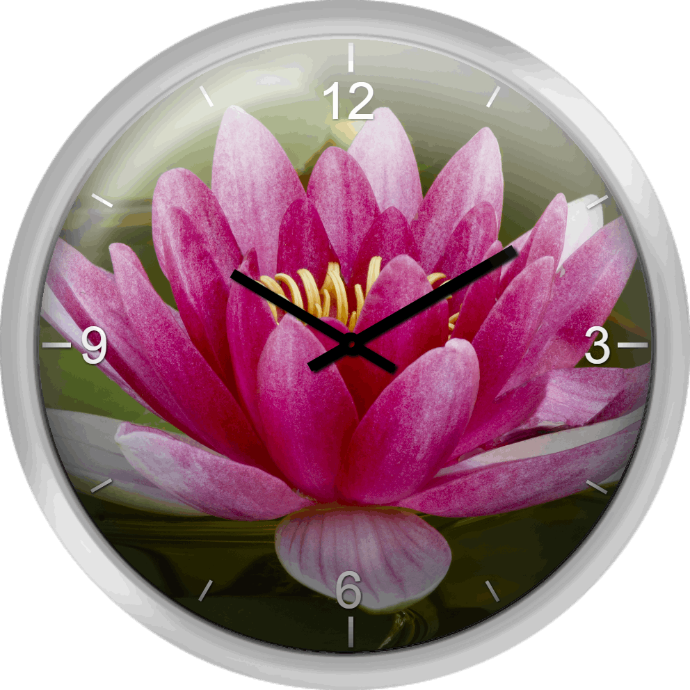 Lily Flower Clock Design