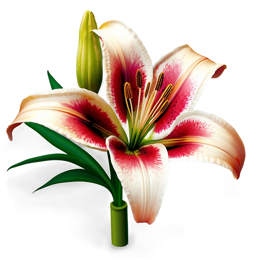 Lily Flower Garden Png Ncf96