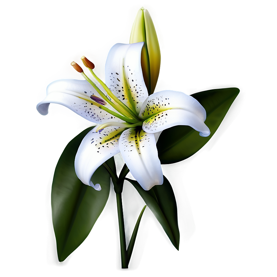 Lily Flower Icon Png 46