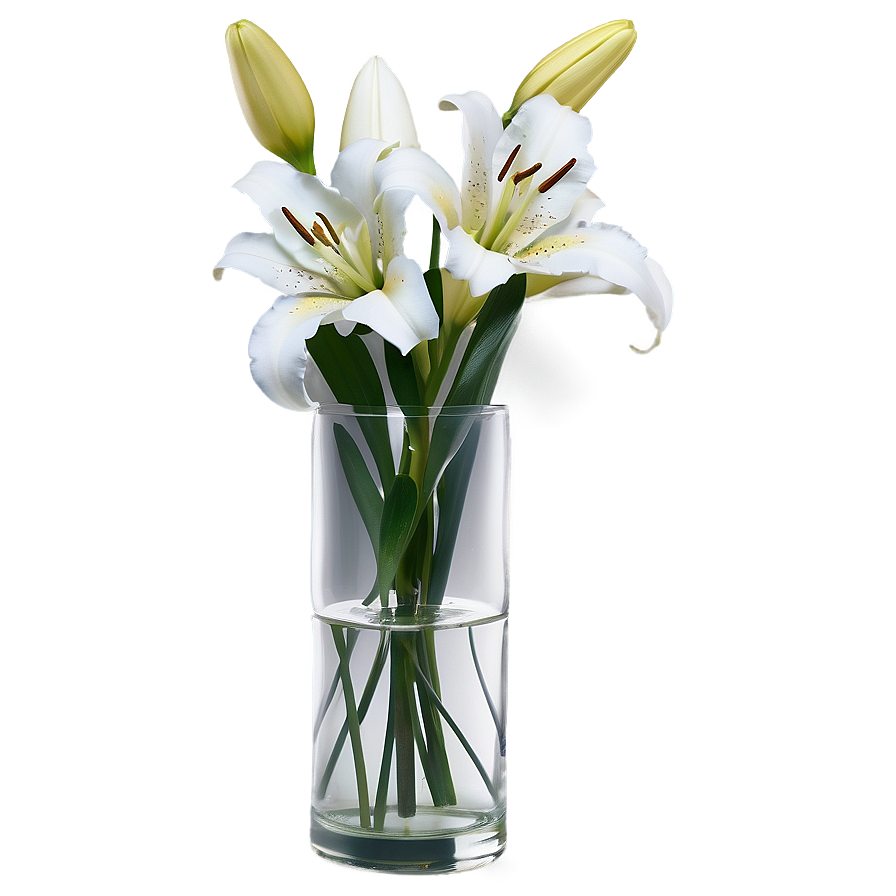 Lily Flower Vase Png 43