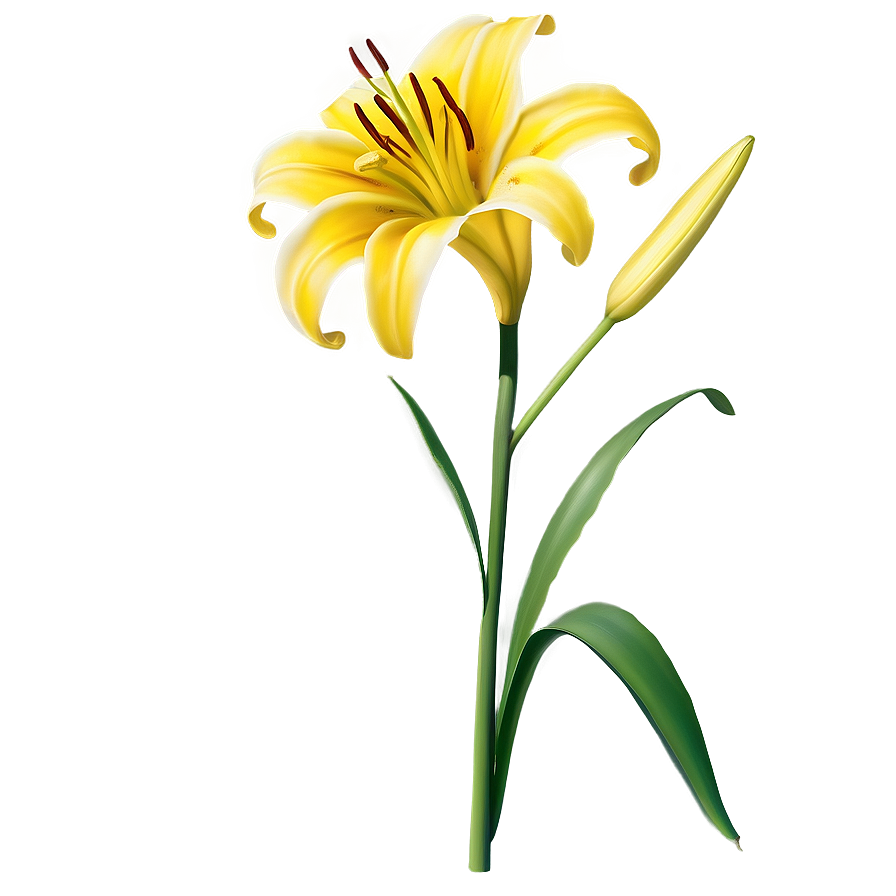 Lily Flower With Butterfly Png Gsv