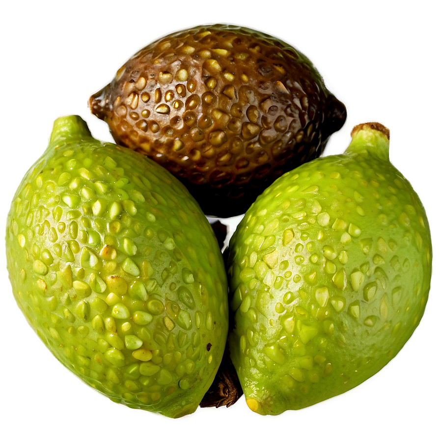 Lime Seed Png Yru