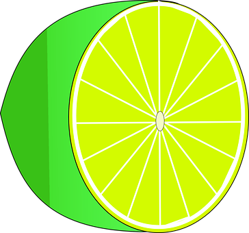 Lime Slice Vector Illustration