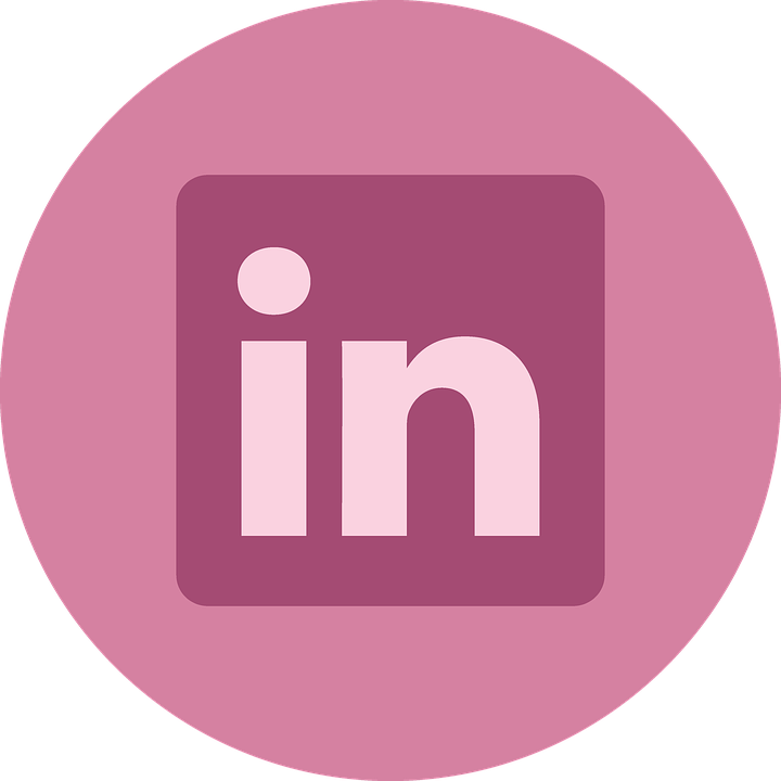 Linked In Logo Professional Networking