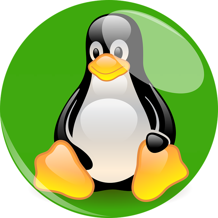 Linux Mascot Tux Illustration