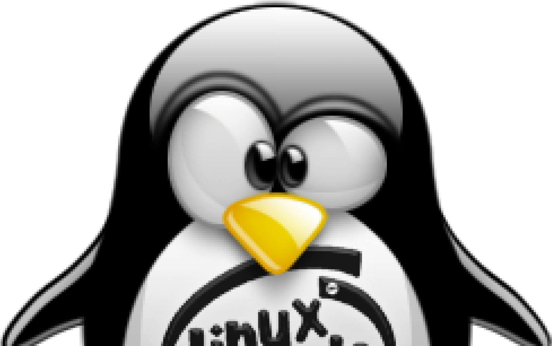 Linux Mascot Tux Penguin