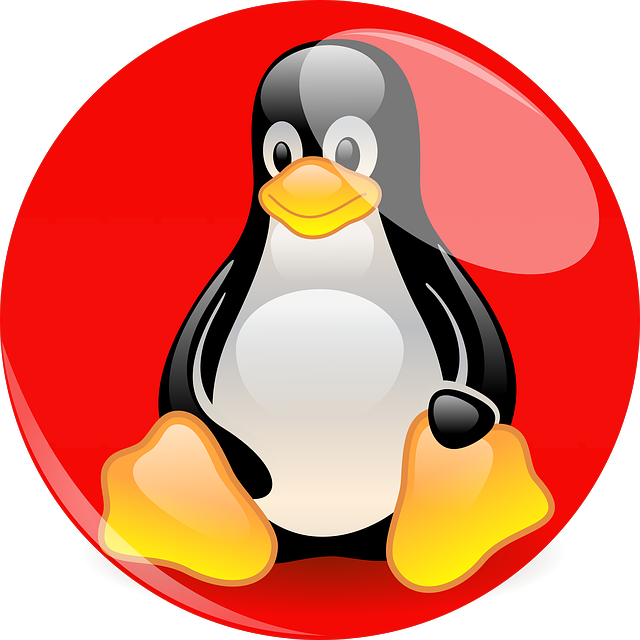 Linux Mascot Tux Red Background.png