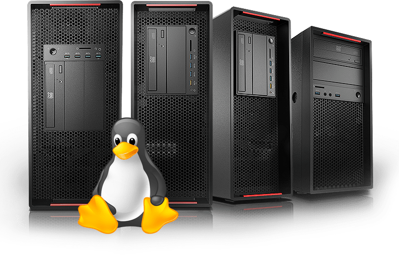 Linux Mascot With Servers