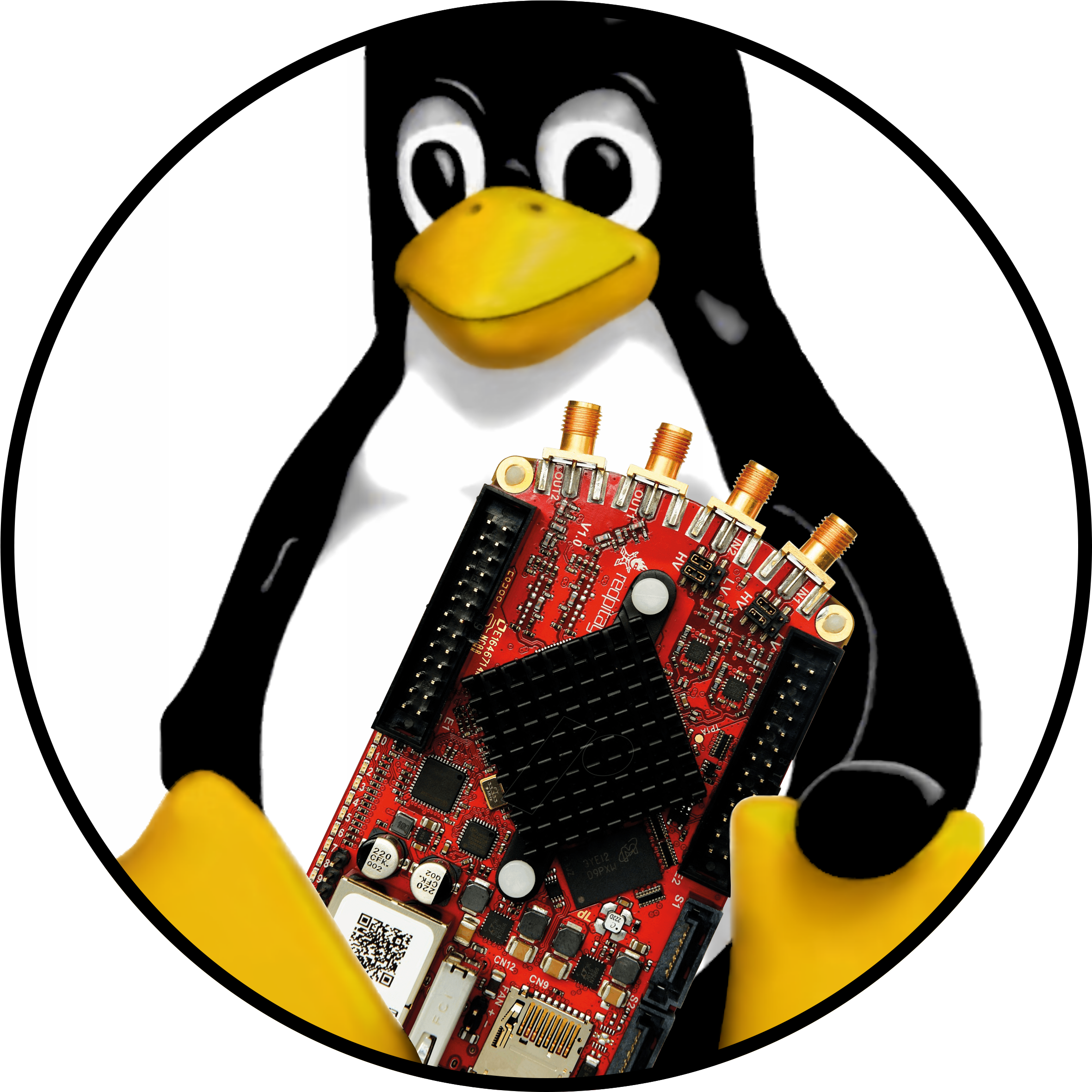 Linux Penguin Holding Motherboard