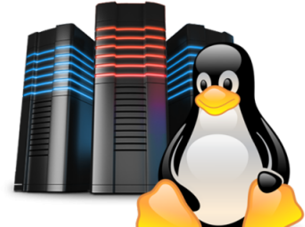 Linux Penguinand Servers.png