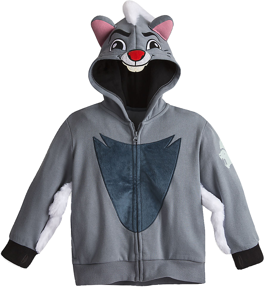 Lion Guard Inspired Character Hoodie